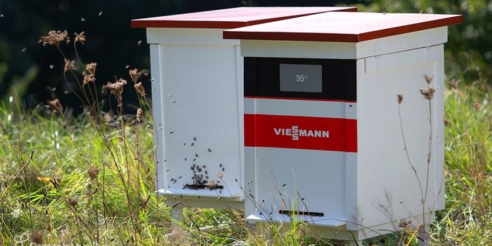 Viessmann angażuje się w pomoc dla owadów zapylających