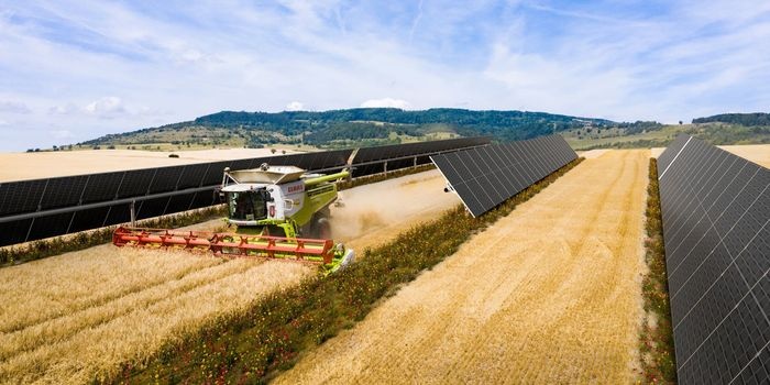 Energia odnawialna w Grupie VELUX z farmy fotowoltaicznej w Hiszpanii